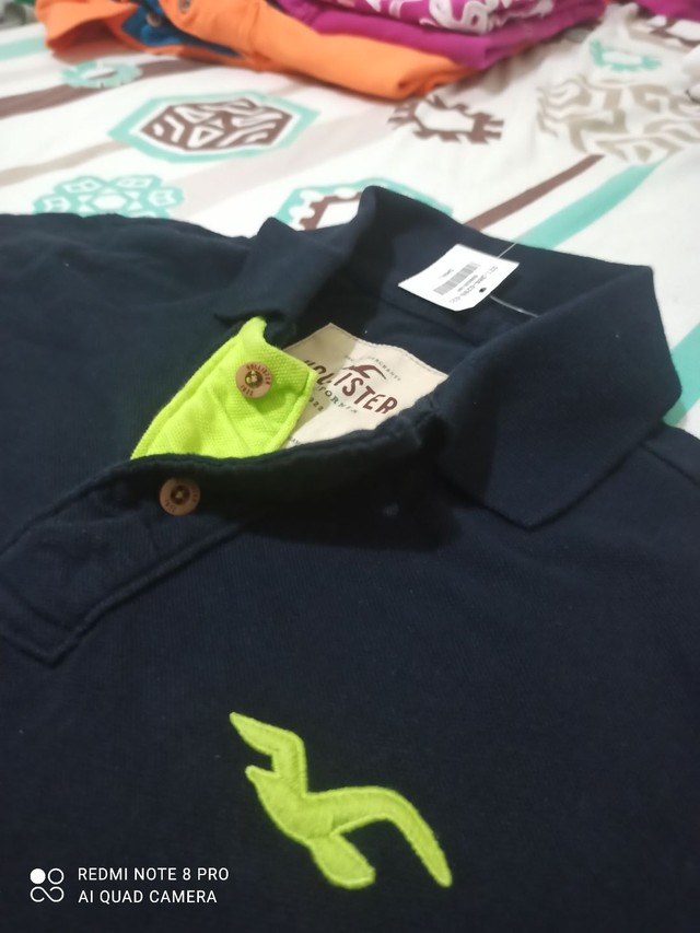 hollister polo park