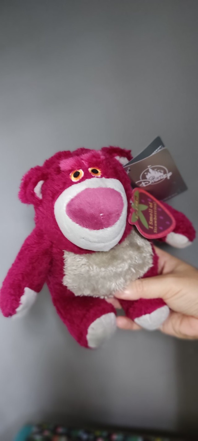 boneco Toy story Lotso Novo amigo do Woody slinky rex Jessie bala no alvo Rocky 