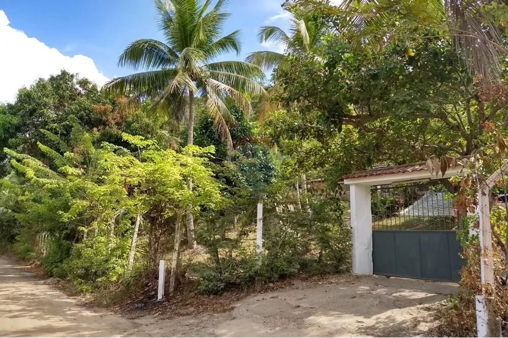 Sítio à venda com 56 mil m² - Coqueiros Seco - Alagoas - Foto 2