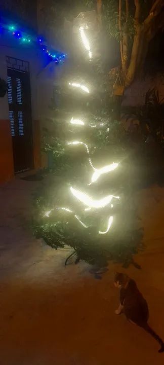 Arvore de natal  - Foto 3