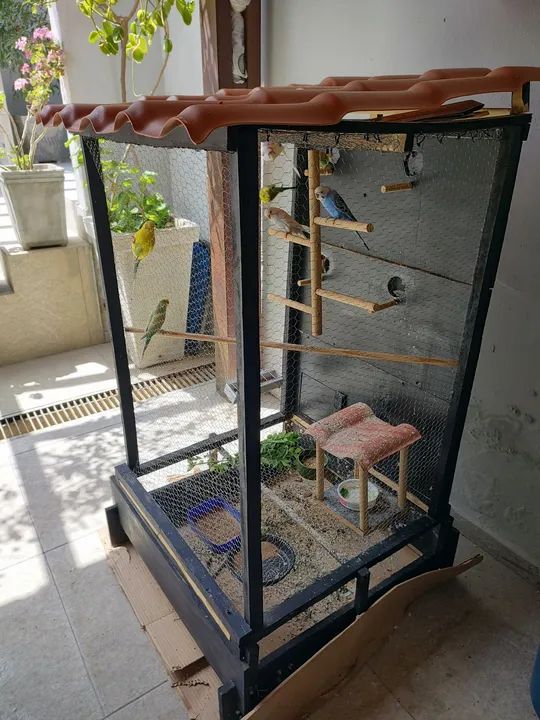 Viveiro CARUARU PE - Foto 2