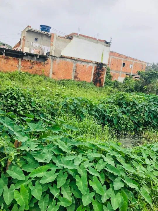 foto - Guarujá - Conceiçãozinha