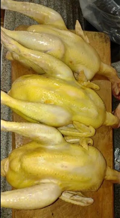 Frango caipira para venda