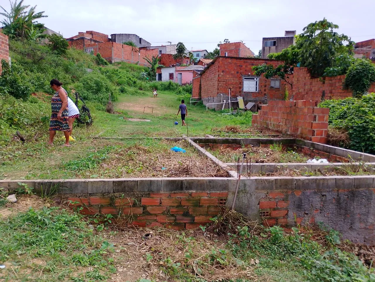 Terreno