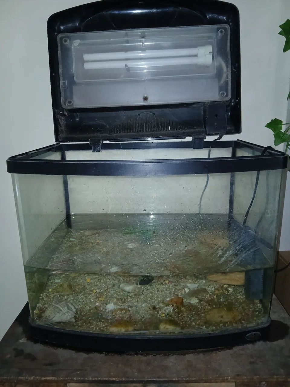 Vendo um aquário de 40 litros, em ótimo estado 