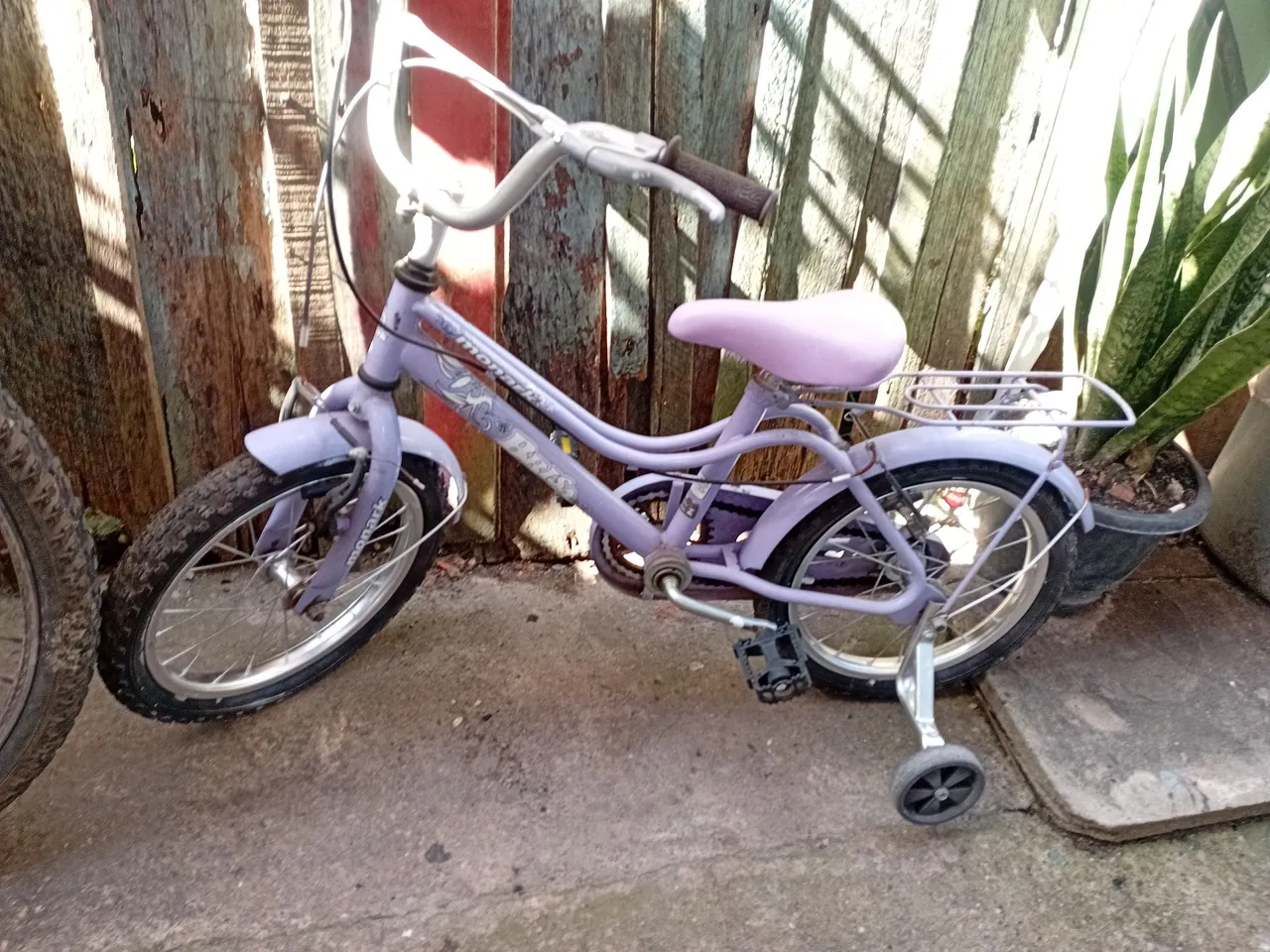 Bicicleta Infantil Lilás com Rodinhas - Perfeita para Crianças