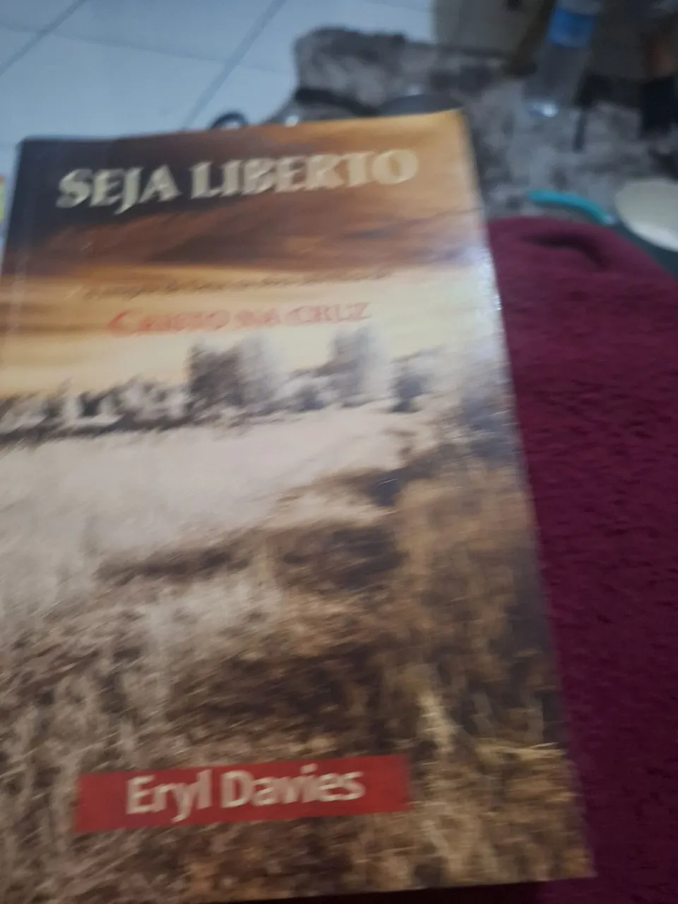 Livro Seja Liberto - Eryl Davies