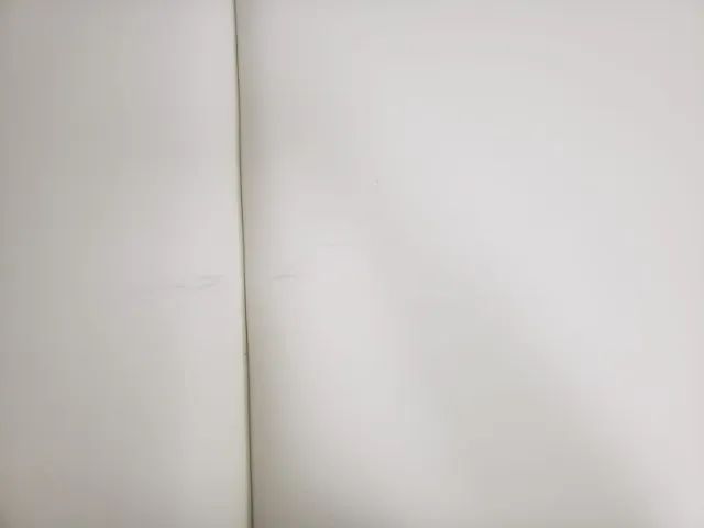 Maca Maleta - Foto 3