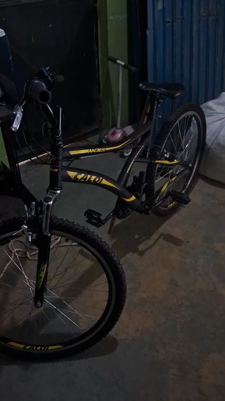 Bicicleta Caloi Andes