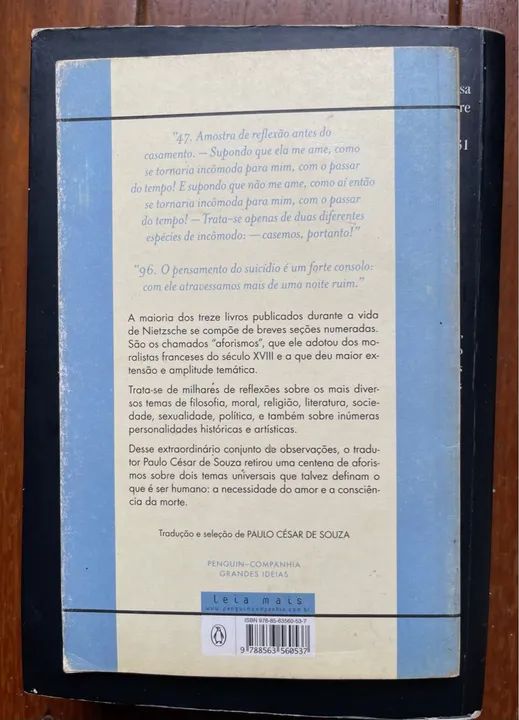 Friedrich Nietzsche 100 aforismos sobre o amor e a morte - Foto 2