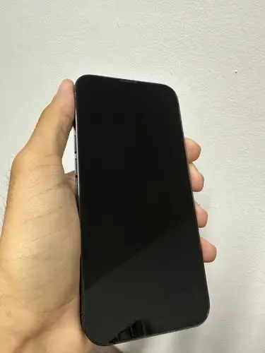 iPhone 13 Pro Max 256gb
