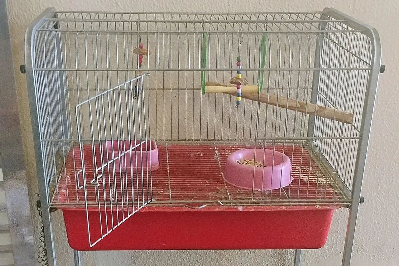 Gaiola para Pássaros