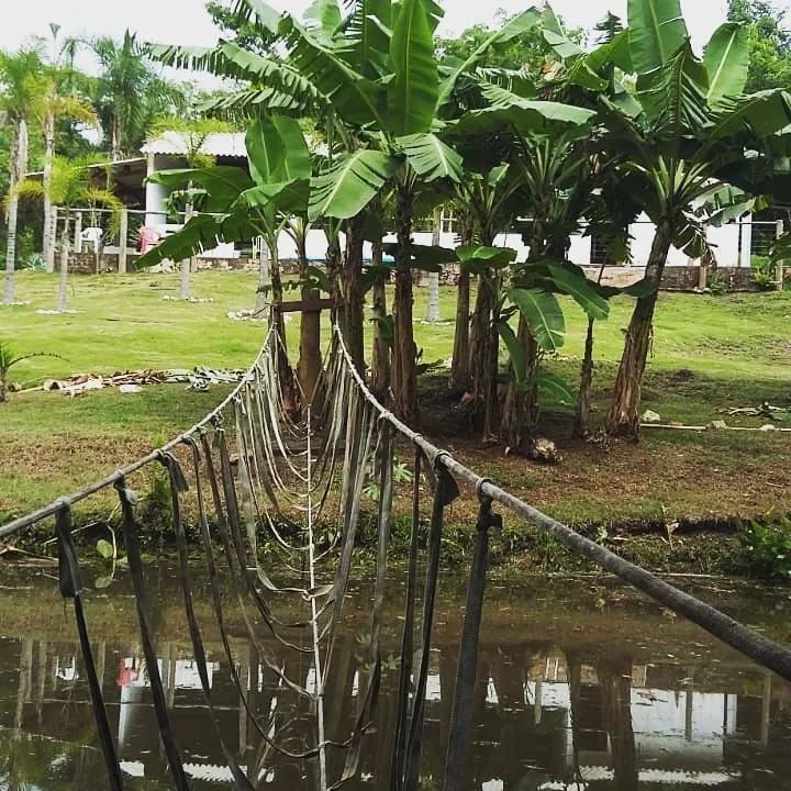 Linda Chácara ABUNDANTE EM NASCENTES D'ÁGUA!  - Foto 9