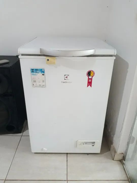 Freezer cooler Electrolux H160 220V 
