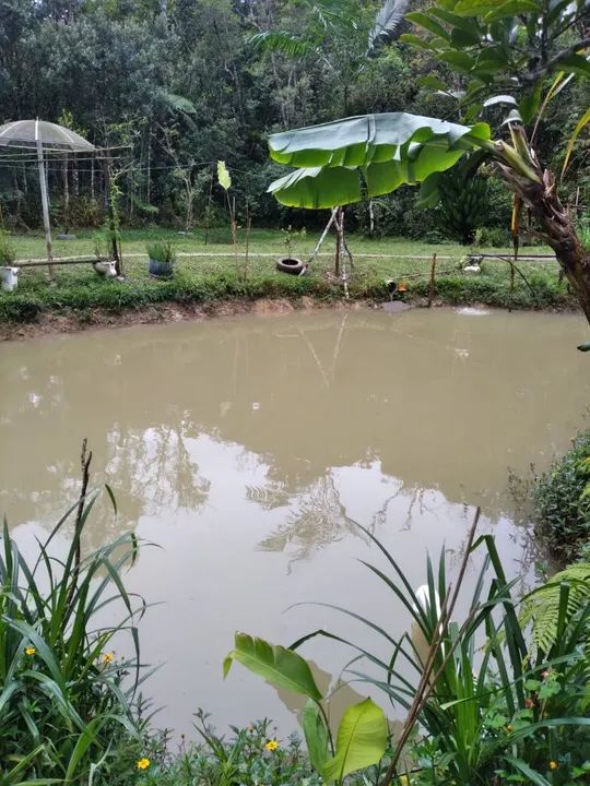 Lindo 1 alqueire paulista 247 mil reais * - Foto 3