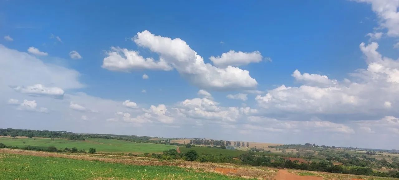 Fazenda de café em abadia dourados  - Foto 3