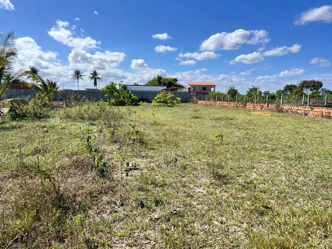 Vendo terreno para chácara em salgado povoado tombo  - Foto 5