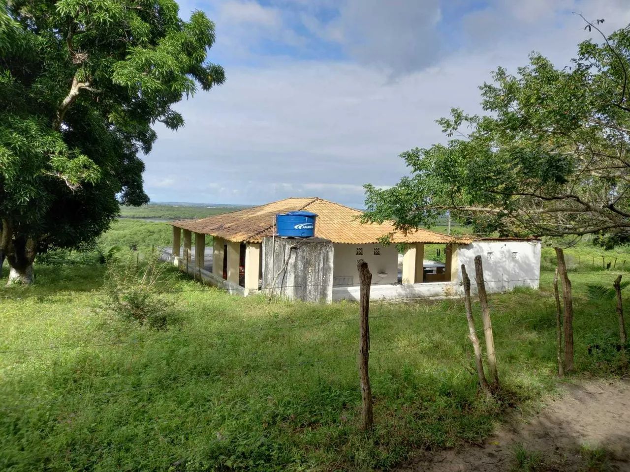 Fazenda São João Evangelista ^ - Foto 8