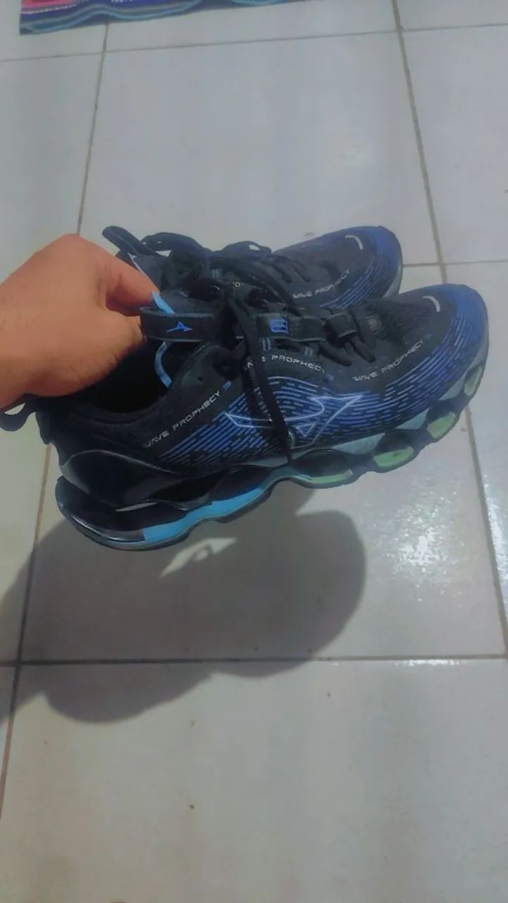 Mizuno wave prophecy 13