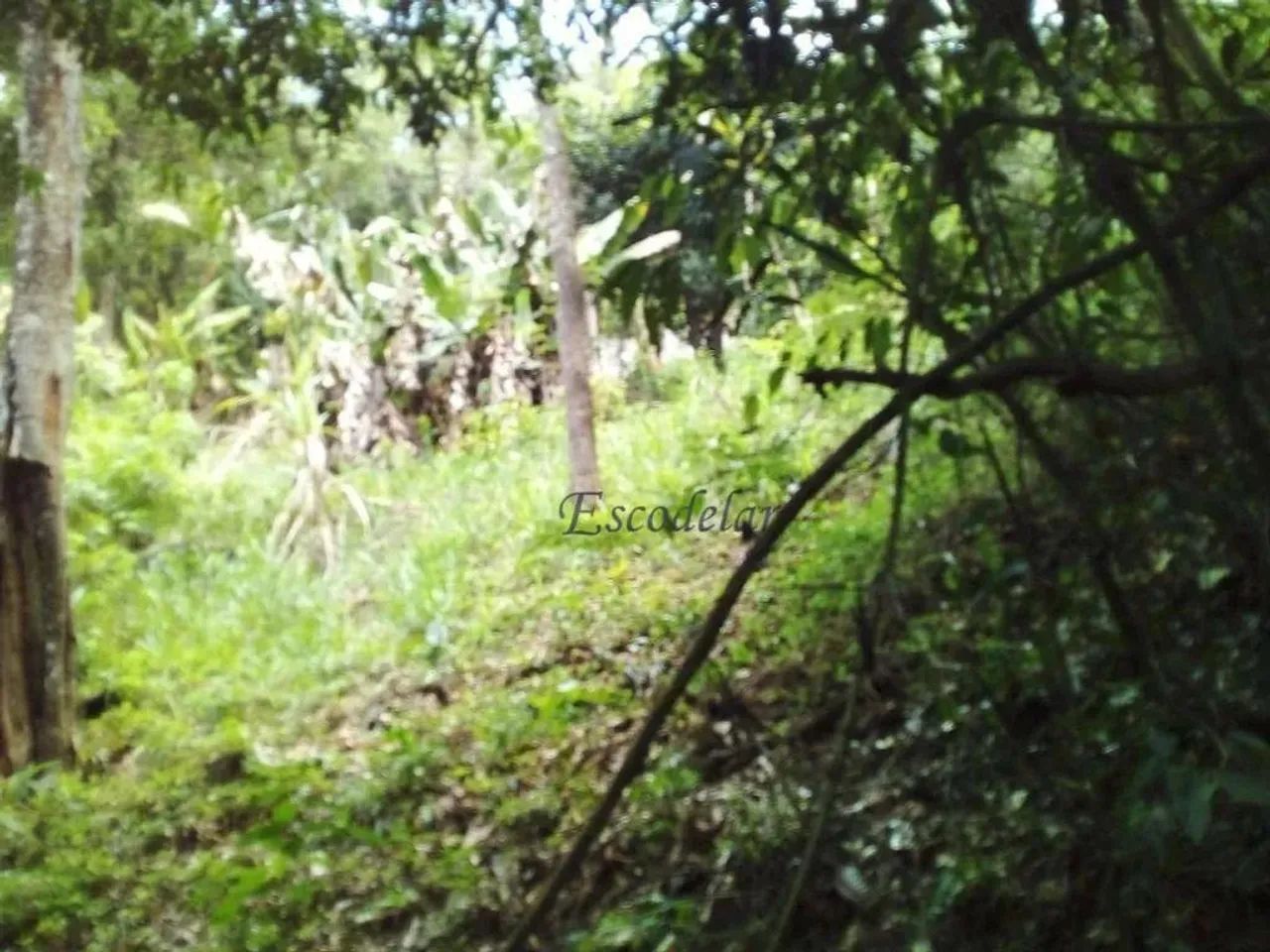 Terreno à venda, 1140 m² por R$ 120.000,00 - Parque Petrópolis - Mairiporã/SP - Foto 13