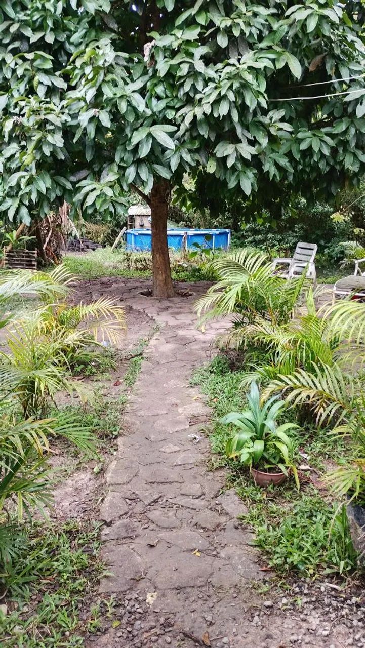 Chácara completa com árvores frutíferas parquinho e lago com tilápias  - Foto 9