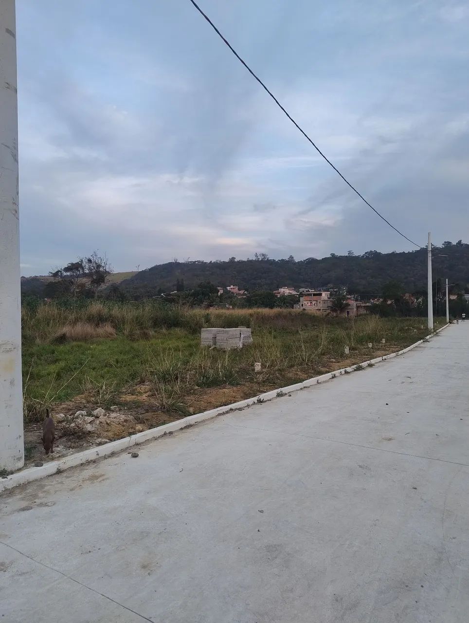Loteamento no mato alto 