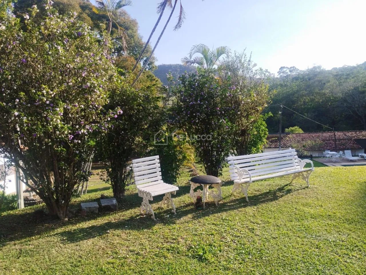 sítio - Joaquim Egídio - Campinas - Foto 4