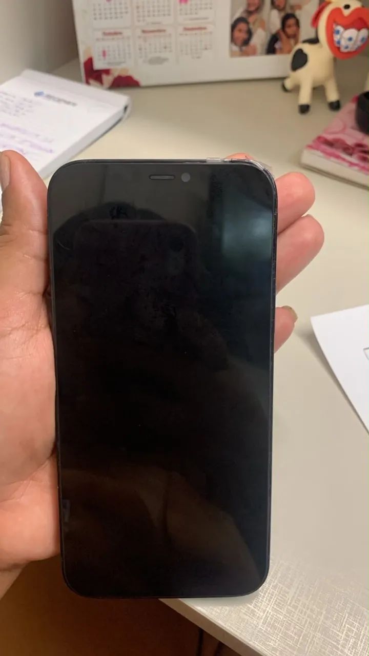 iPhone 12 pro