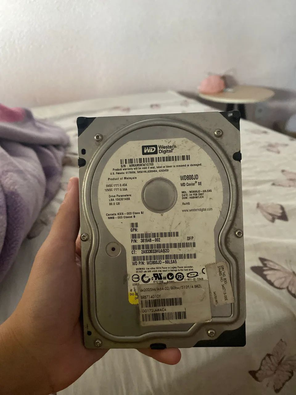 Western Digital Caviar SE 80GB)