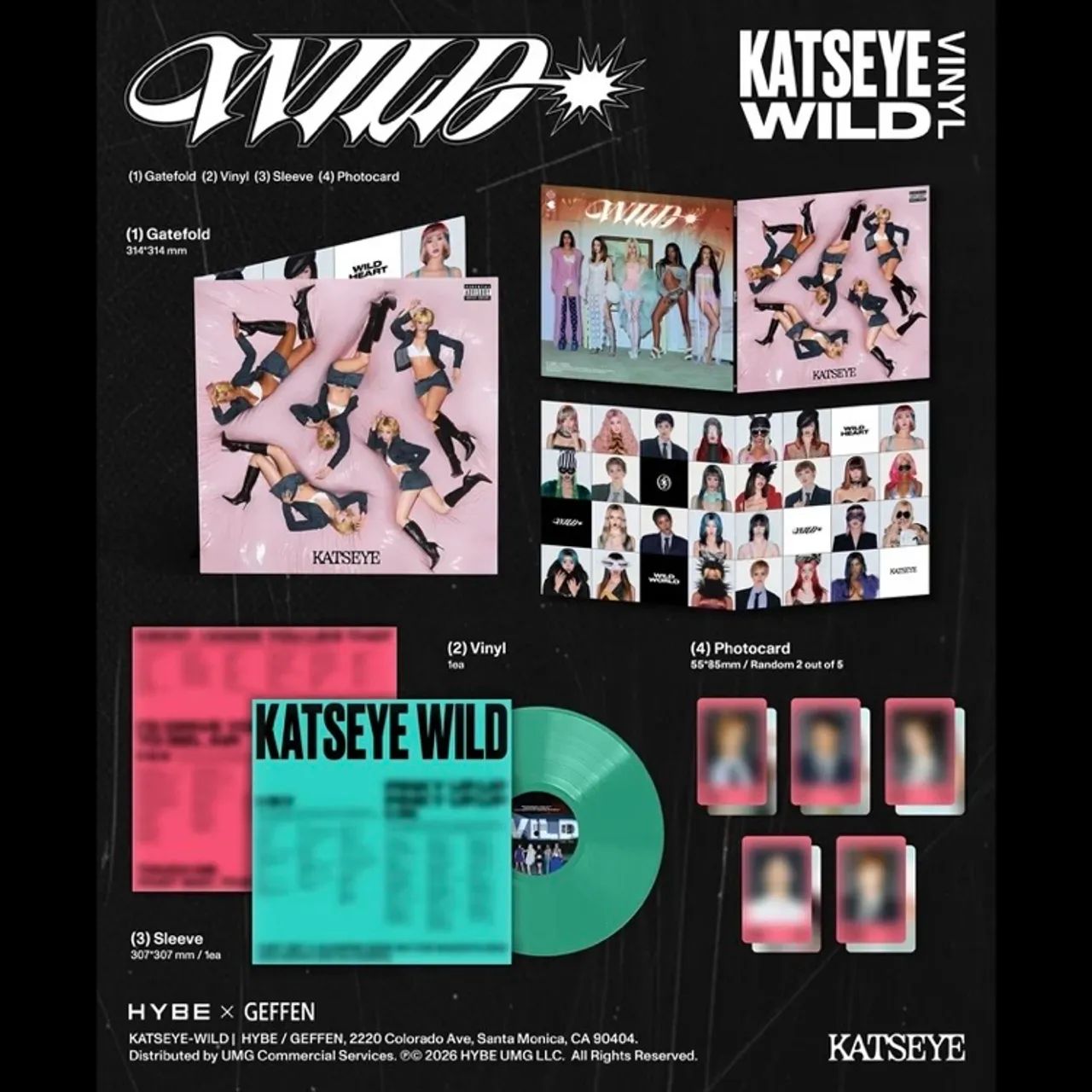 Vinil KATSEYE WILD EP Autografado - Foto 4