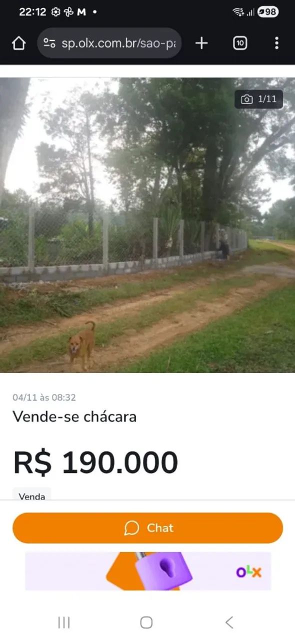 Foto - São Paulo - Jardim das Flores