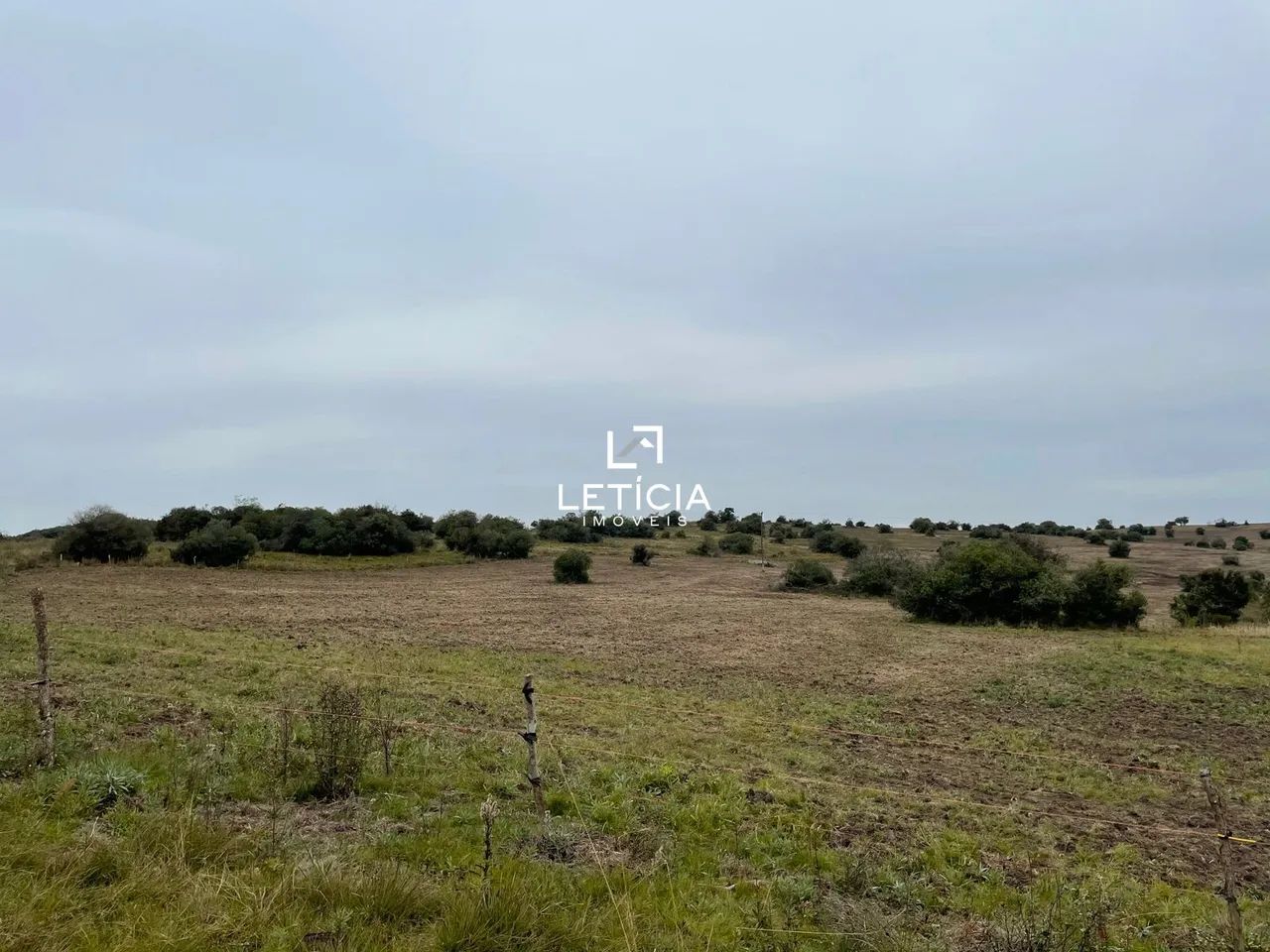 Campo de Pecuária!!! - Foto 3