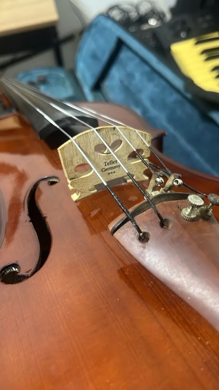 VIOLA DE ARCO EAGLE VA150 - Foto 4