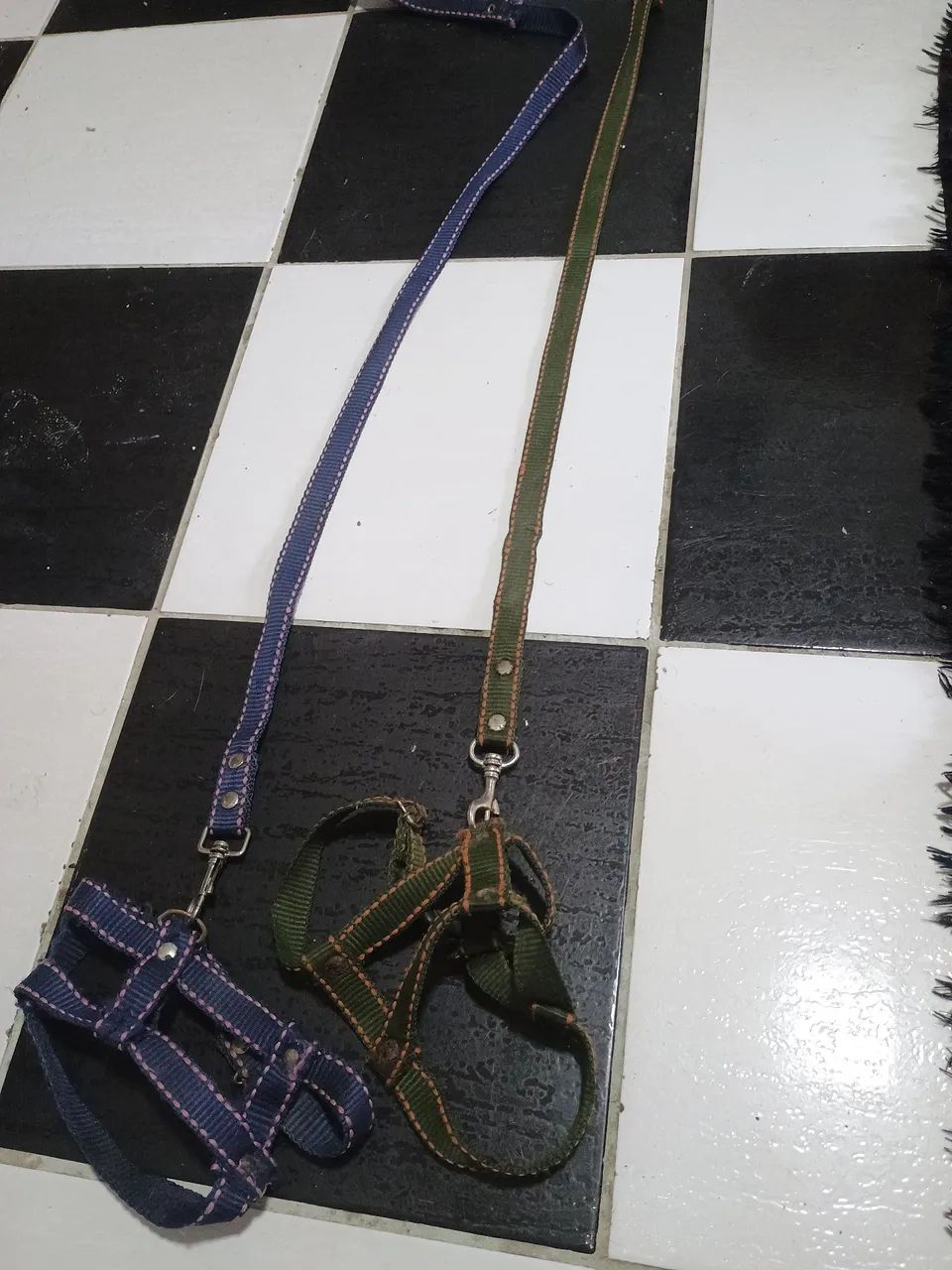 Guaia de cão pq.porte - Foto 4