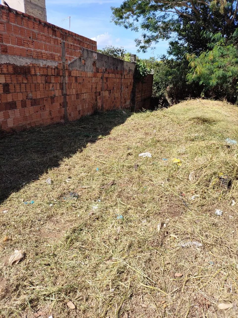 Limpeza de terrenos e calçadas com roçadeira costal - Foto 5