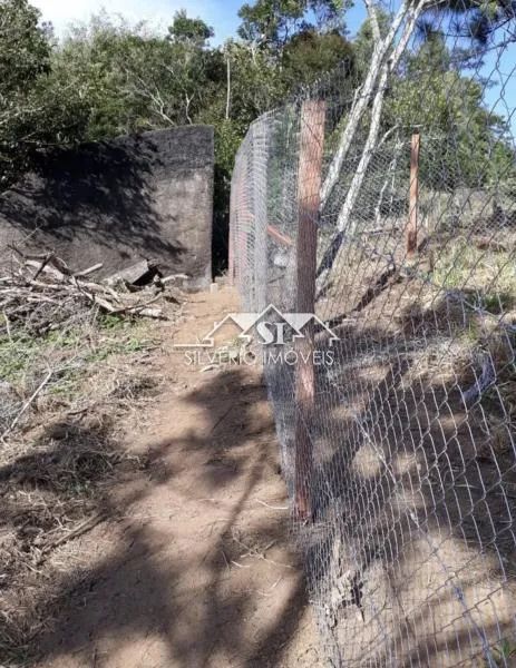 Terreno- Petrópolis, Quitandinha - Foto 4