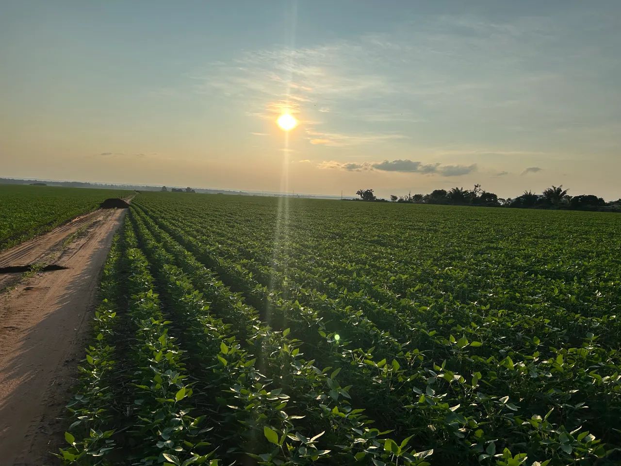 Vende-se Fazenda 