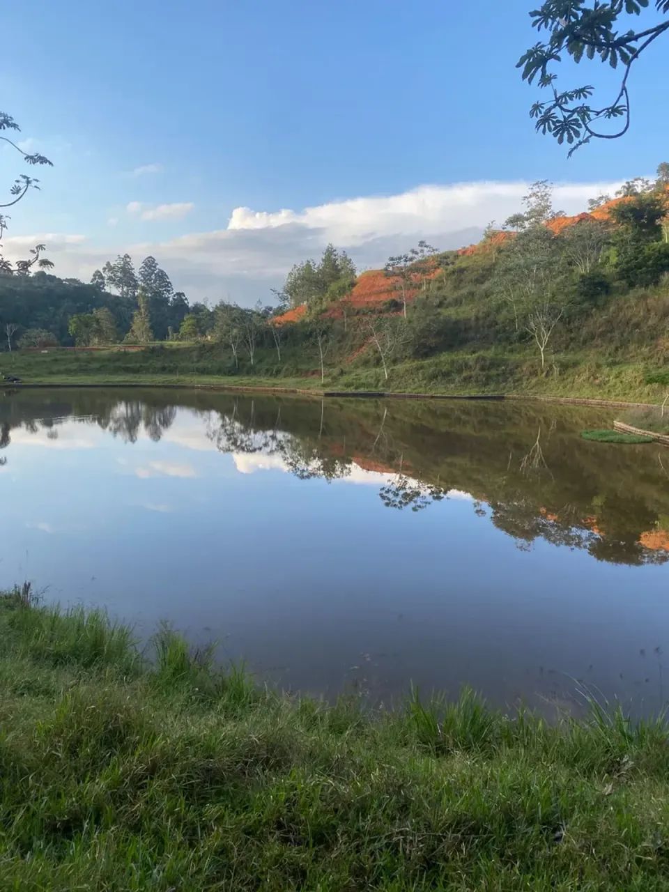 Oportunidade Para Toda a Vida - Foto 5