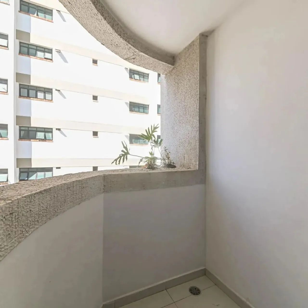 Apartamento com 1 quarto à Venda, Vila Congonhas - São Paulo - Foto 3