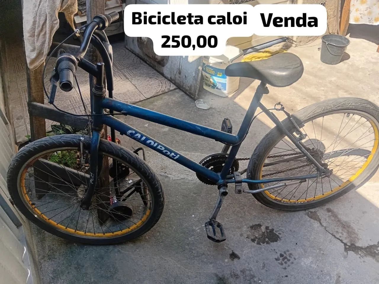 Bicicleta 