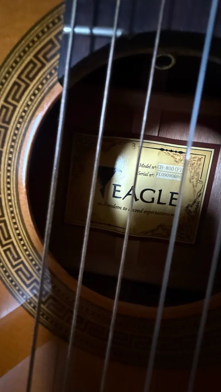 Violão Eagle CH-800 (F) Clássico Nylon com Cutaway + Capa - Foto 2