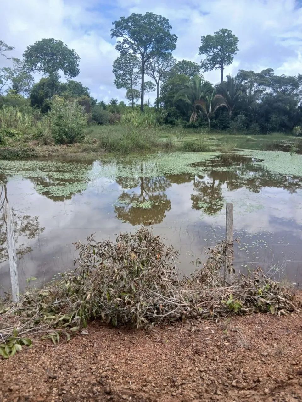 Fazenda Estrada de Altazes