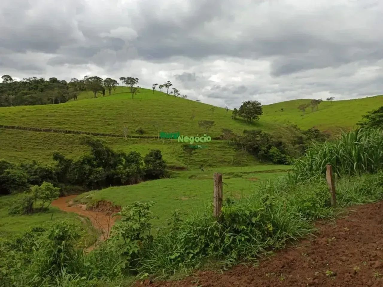 Sítio com pasto formado e sem benfeitorias em Lorena-SP - Foto 2