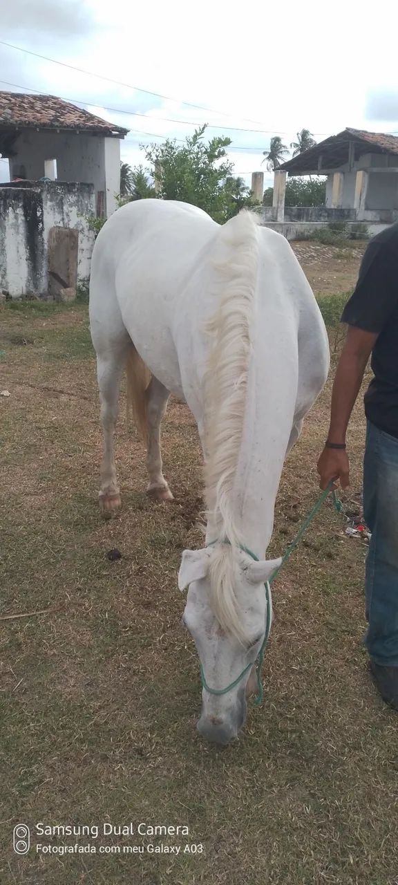 Oportunidade  - Foto 2