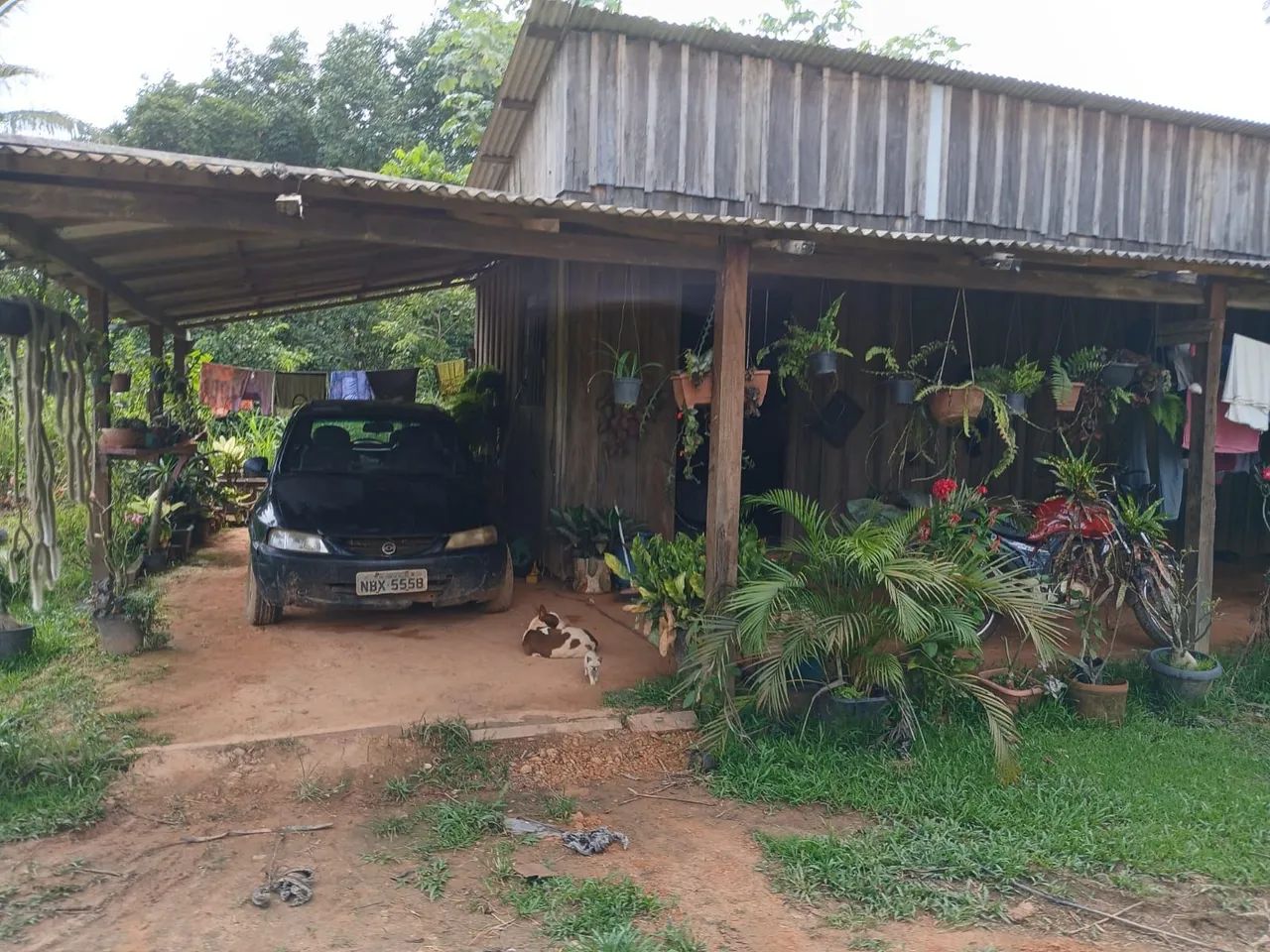 VENDO ESSA CHÁCARA  - Foto 4