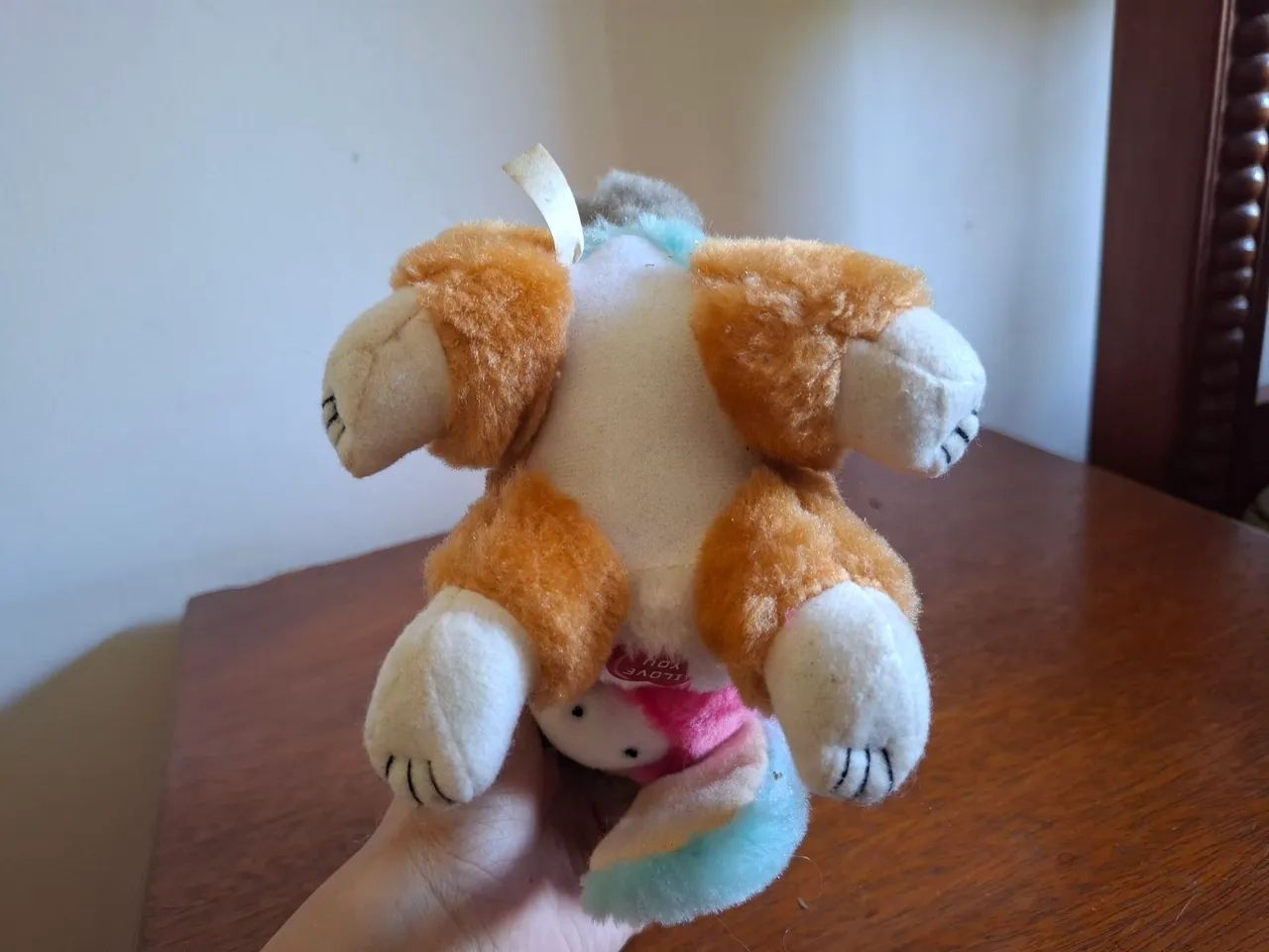 Cachorro de chapéu  - Foto 3