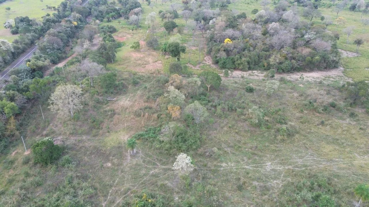 Vendo 8ha em Miranda - MS - Foto 3