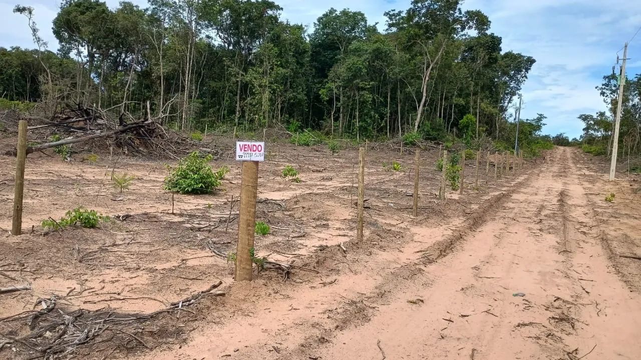 Vendo chácara 42 km de tangará da serra - Foto 2