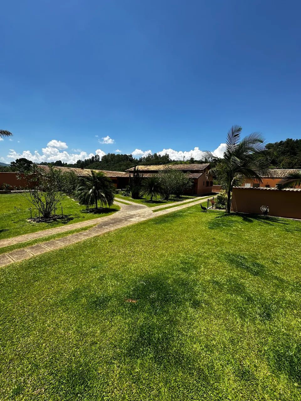 CHACARA - PONTE NOVA MONTEIRO LOBATO - Foto 9