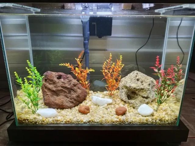 Aquário Novo e Completo 42L - Foto 6